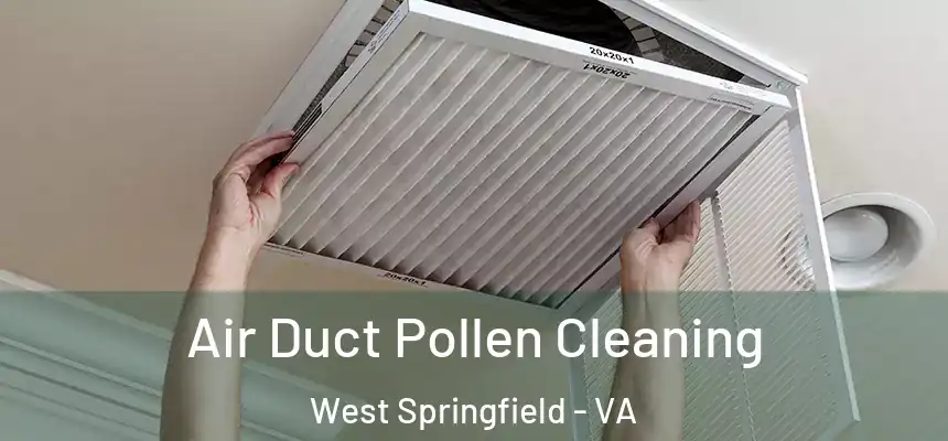  Air Duct Pollen Cleaning West Springfield - VA