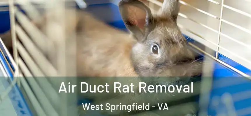  Air Duct Rat Removal West Springfield - VA