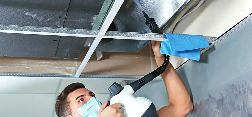 Our Air Duct Rodent Removal Services in West Springfield, VA