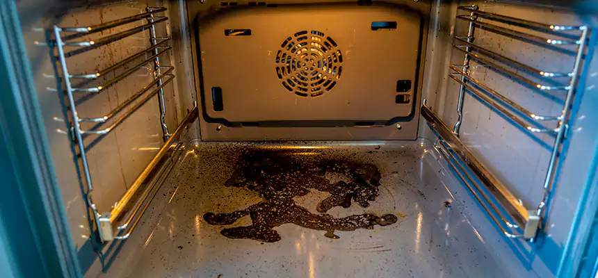 Our Dryer Vent Mold Cleaning Services in West Springfield, VA