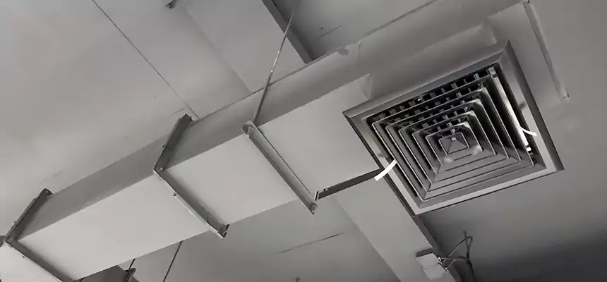 Our Rodent Droppings In Vents Services in West Springfield, VA