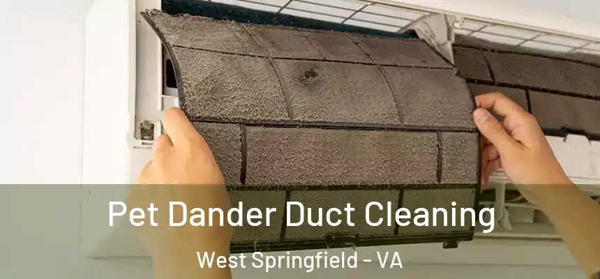  Pet Dander Duct Cleaning West Springfield - VA