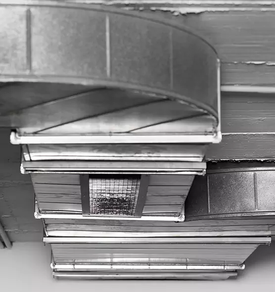 Professional Air Duct Pest Removal in West Springfield, VA