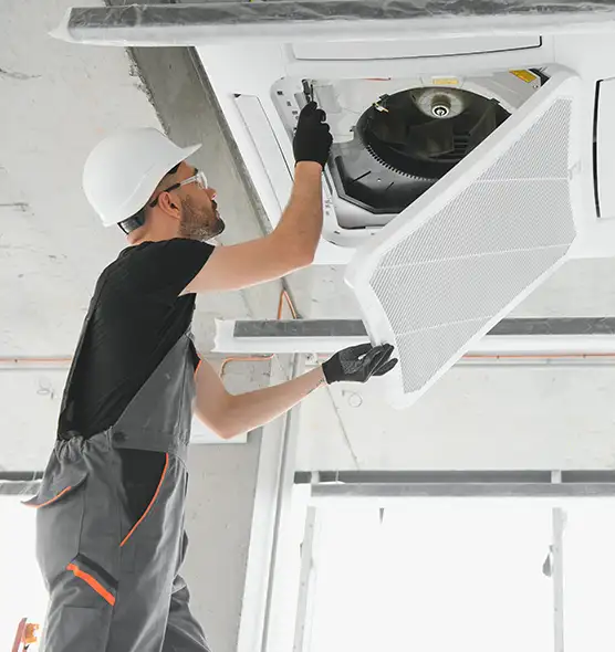 About Air Duct Rodent Removal in West Springfield, VA