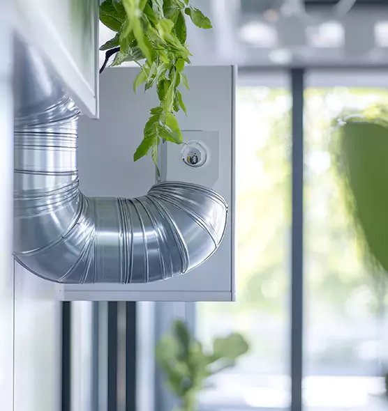 Professional Eco-Safe Dryer Vent Cleaning in West Springfield, VA