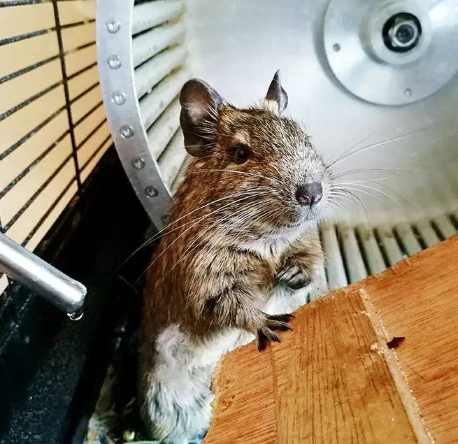 Why Homeowners & Businesses Trust Us West Springfield, VA