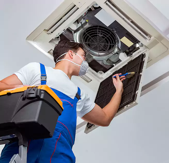 Why Homeowners & Businesses Trust Us in West Springfield, VA