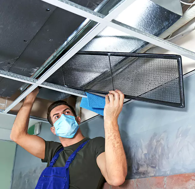 Why Homeowners & Businesses Trust Us in West Springfield, VA?